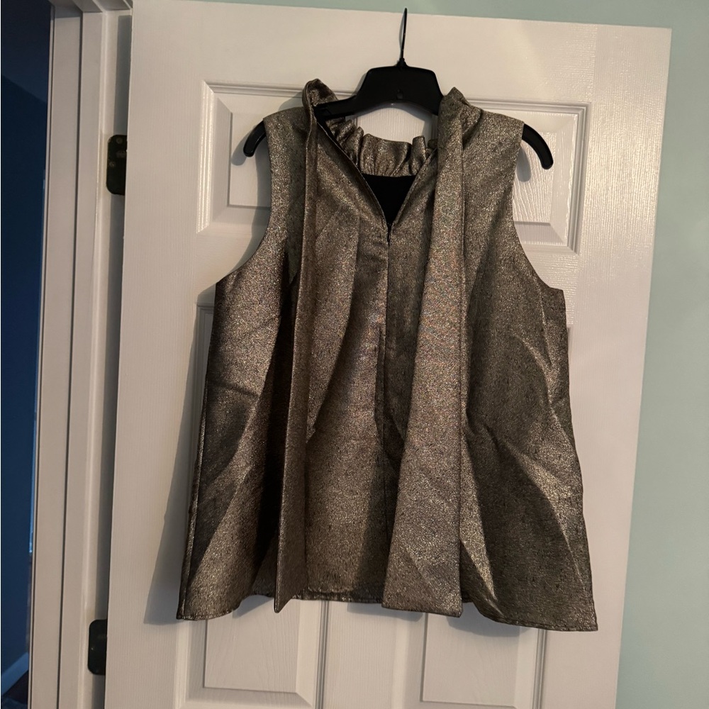 Tuckernuck Metallic Sleeveless Blouse with back bow